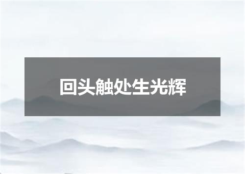 回头触处生光辉