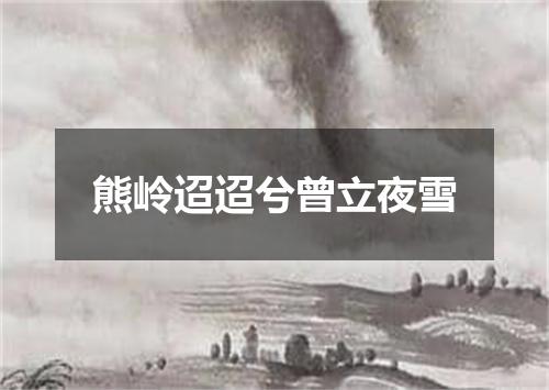 熊岭迢迢兮曾立夜雪