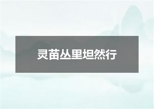 灵苗丛里坦然行