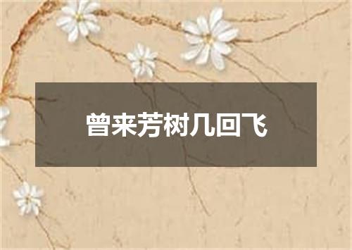 曾来芳树几回飞