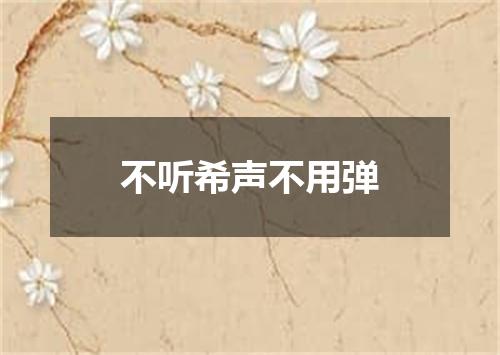不听希声不用弹