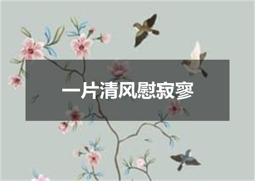 一片清风慰寂寥