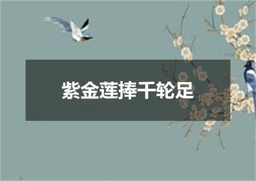 紫金莲捧千轮足