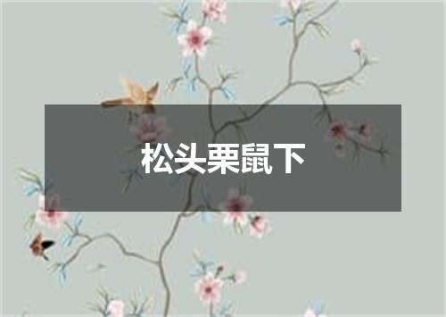 松头栗鼠下