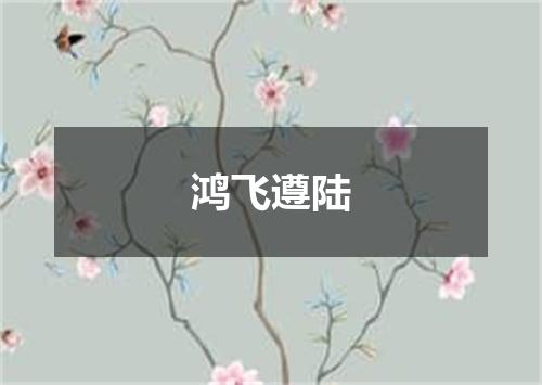 鸿飞遵陆