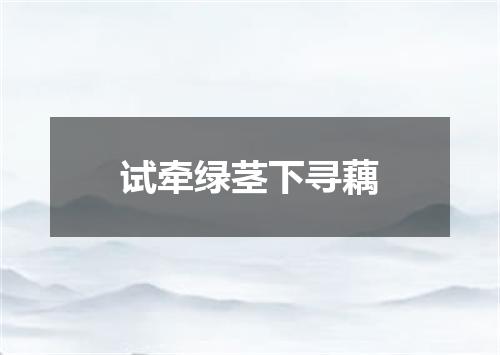 试牵绿茎下寻藕