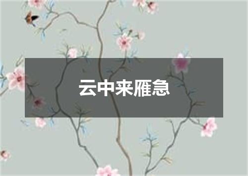云中来雁急