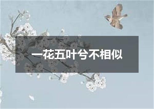一花五叶兮不相似