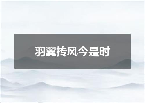 羽翼抟风今是时