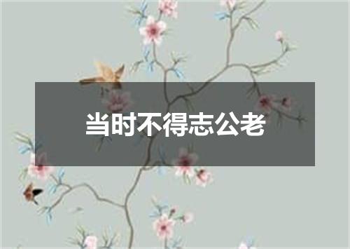 当时不得志公老