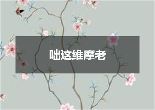 咄这维摩老