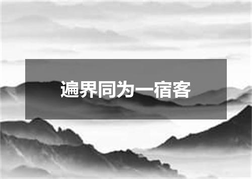遍界同为一宿客