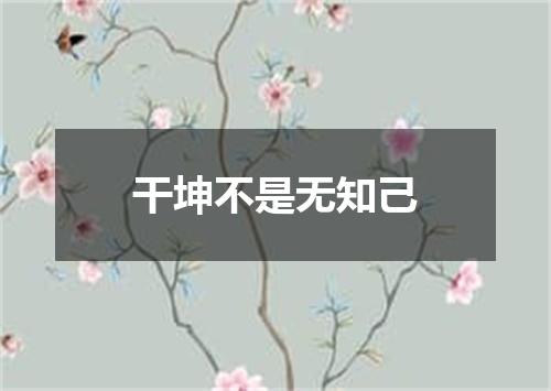 干坤不是无知己