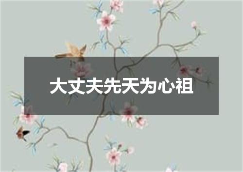 大丈夫先天为心祖