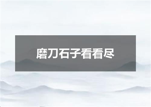 磨刀石子看看尽
