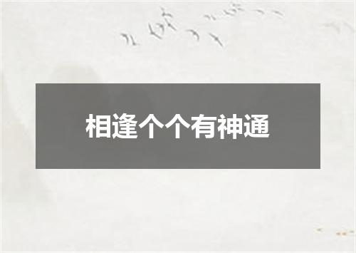 相逢个个有神通
