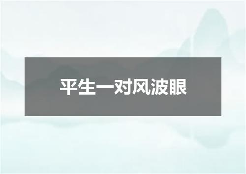 平生一对风波眼