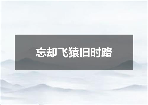 忘却飞猿旧时路