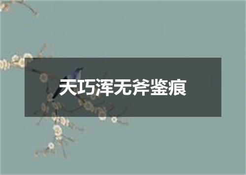 天巧浑无斧鉴痕