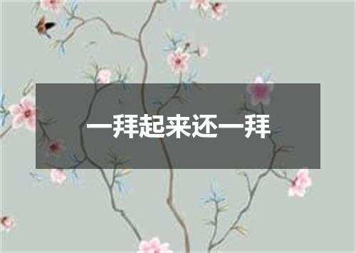 一拜起来还一拜