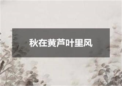 秋在黄芦叶里风