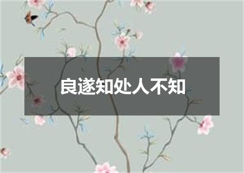 良遂知处人不知