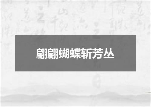 翩翩蝴蝶斩芳丛