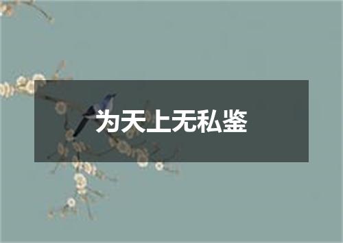 为天上无私鉴