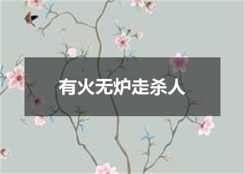 有火无炉走杀人