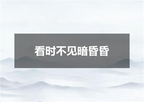 看时不见暗昏昏