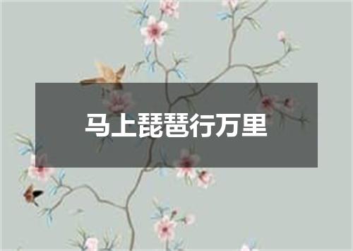 马上琵琶行万里