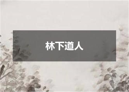 林下道人