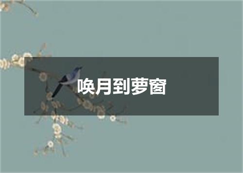唤月到萝窗