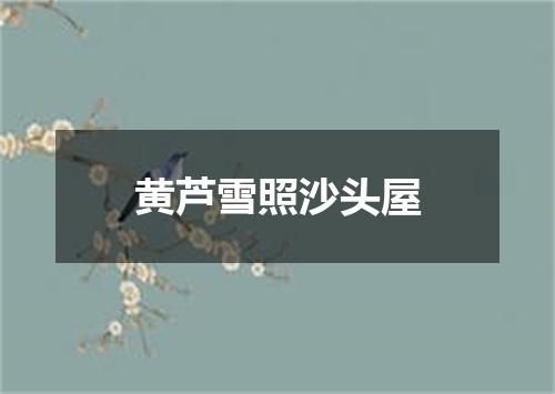 黄芦雪照沙头屋