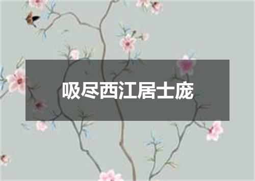 吸尽西江居士庞