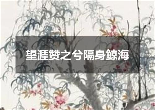 望涯赞之兮隔身鲸海