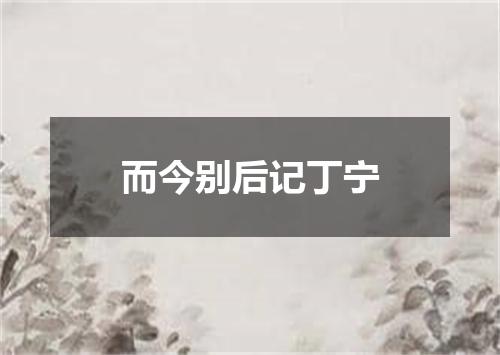 而今别后记丁宁