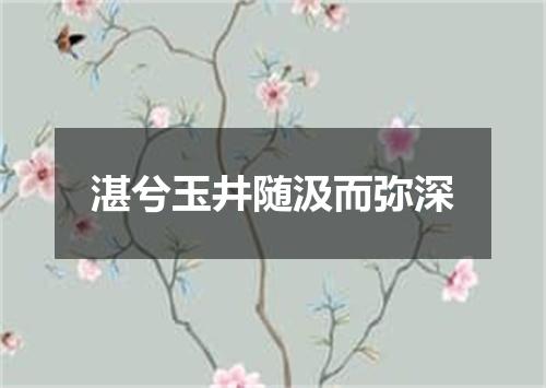湛兮玉井随汲而弥深