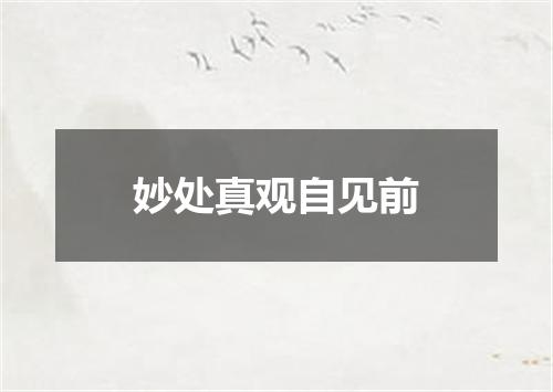 妙处真观自见前