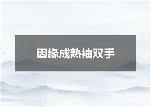因缘成熟袖双手