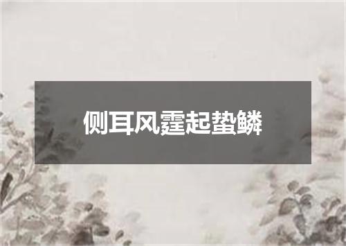 侧耳风霆起蛰鳞