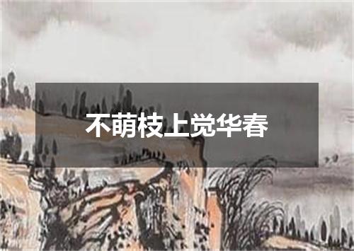 不萌枝上觉华春