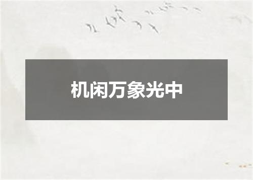 机闲万象光中