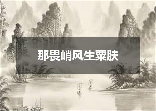 那畏峭风生粟肤