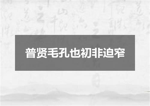 普贤毛孔也初非迫窄