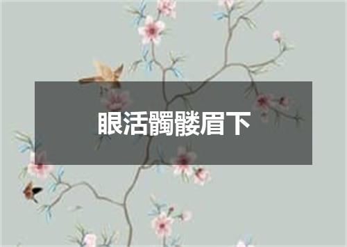 眼活髑髅眉下