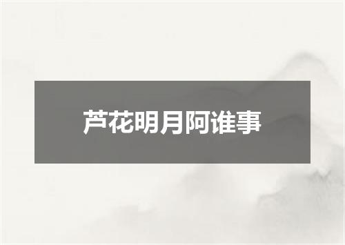 芦花明月阿谁事