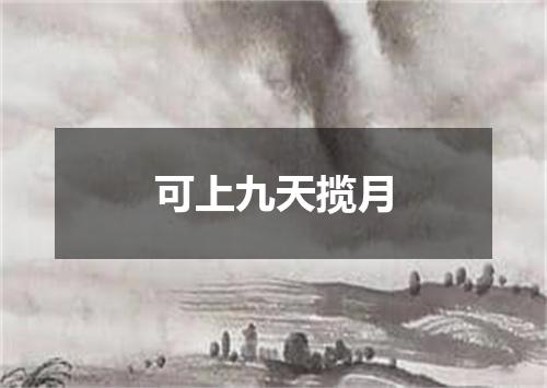 可上九天揽月
