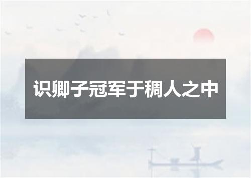 识卿子冠军于稠人之中
