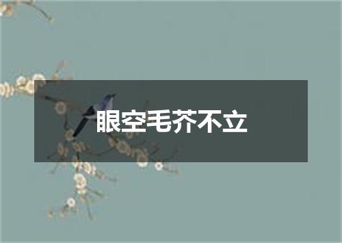 眼空毛芥不立
